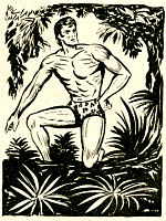 Story Tarzan