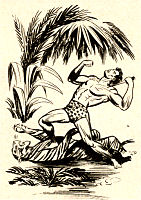 Story
                  Tarzan