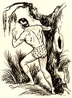 Story Tarzan