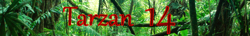 Tarzan 14