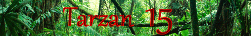 Tarzan 15