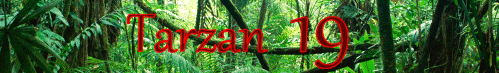 Tarzan 19