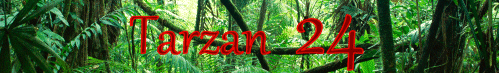 Tarzan 24