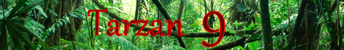 Tarzan 9