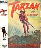 stofomslag Tarzan op Sumatra